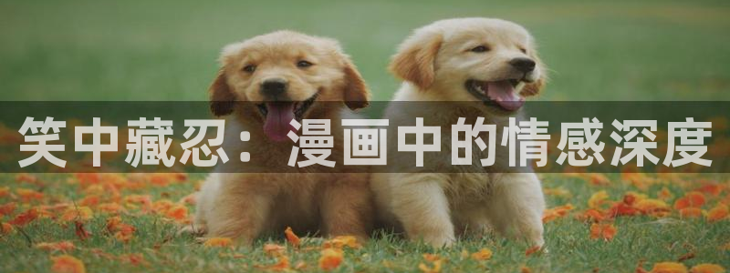 歪歪漫画免费漫画看